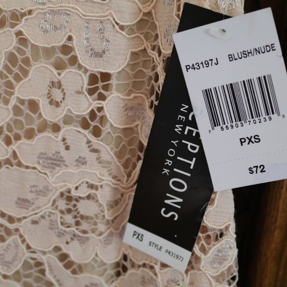 PERCEPTIONS New York Blush Nude Lace Sheath Dress - NWT! - Picture 12 of 16